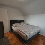 Apartman-vikendica Mihajlovic *