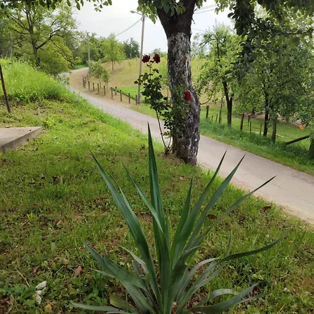 Apartman-vikendica Mihajlovic Appartement Banja Luka